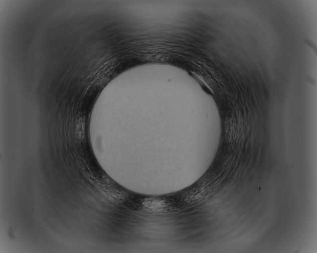 X0000097500602200803201554