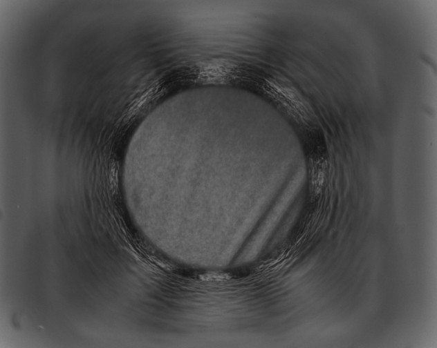 X0000097500603200803201554