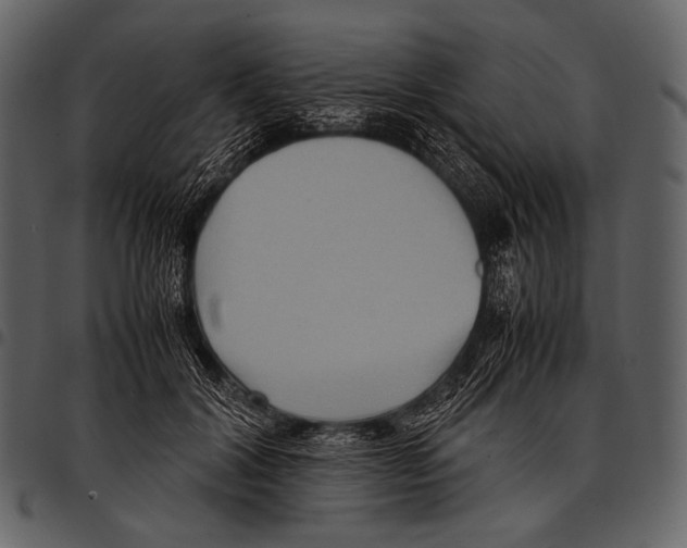 X0000097500604200803201554