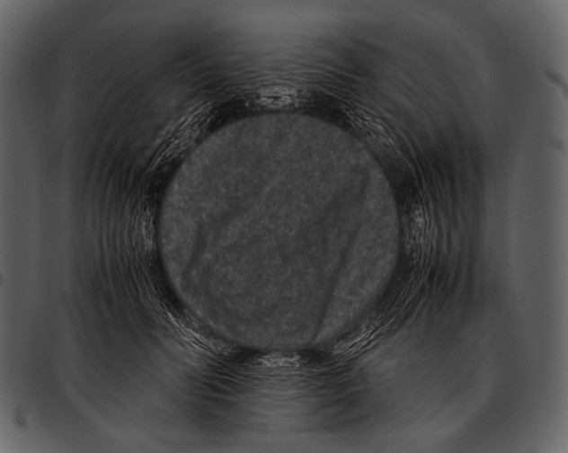 X0000097500606200803201554