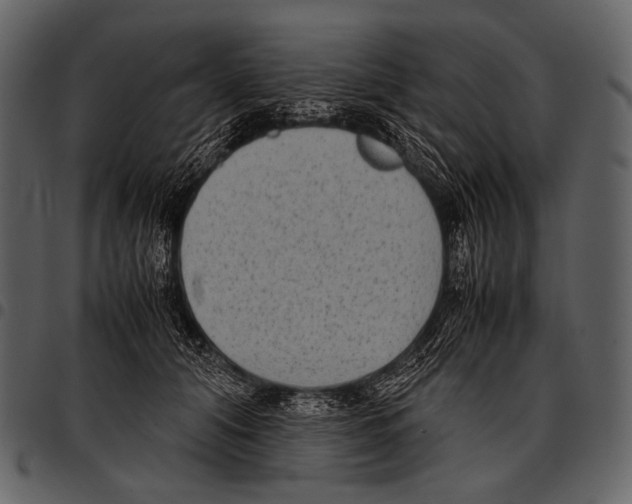 X0000097500608200803201554