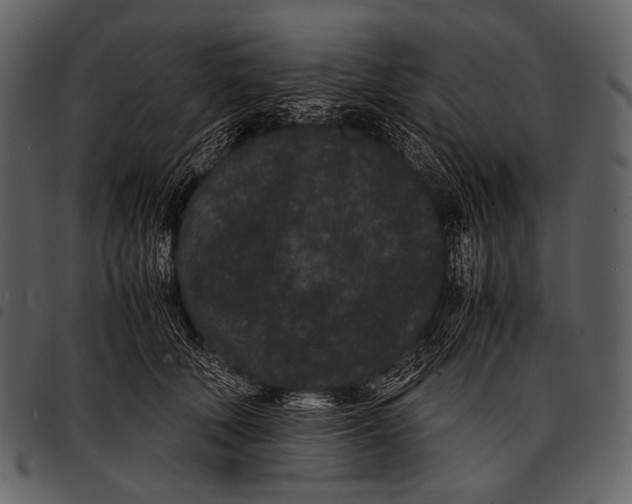 X0000097500610200803201554
