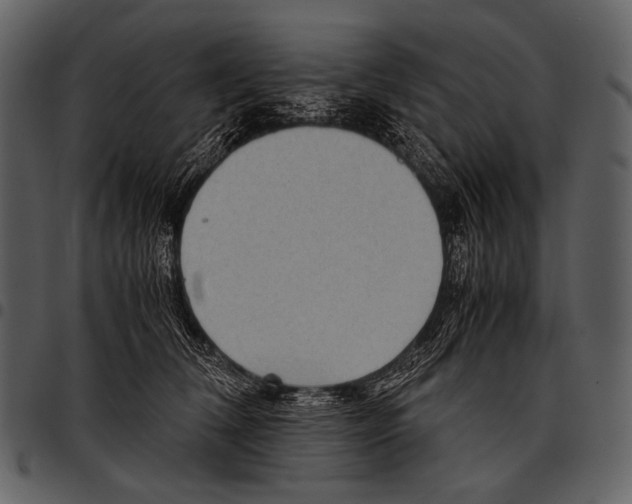 X0000097500612200803201554