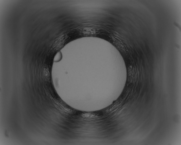 X0000097500614200803201554