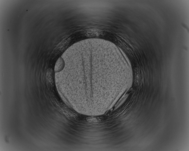 X0000097500616200803201554