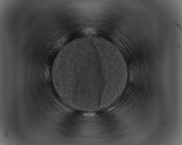 X0000097500618200803201554