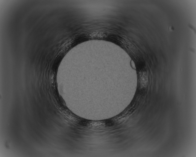 X0000097500619200803201554