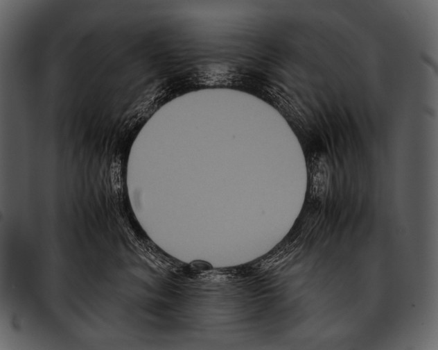 X0000097500620200803201554