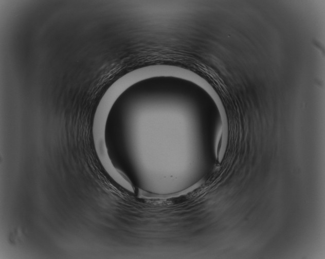 X0000097500621200803201554