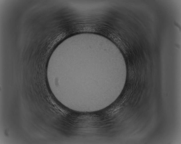 X0000097500625200803201553