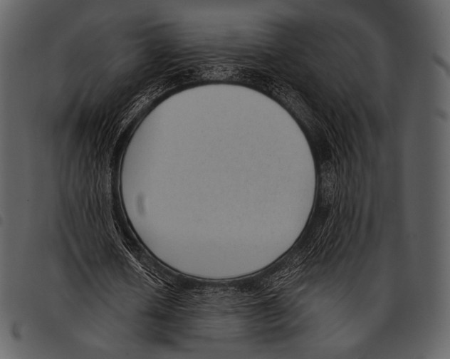 X0000097500626200803201553