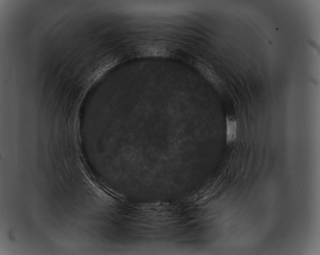 X0000097500627200803201553