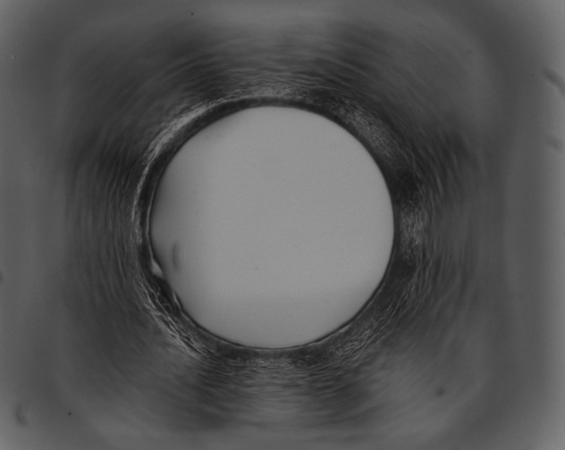 X0000097500628200803201553