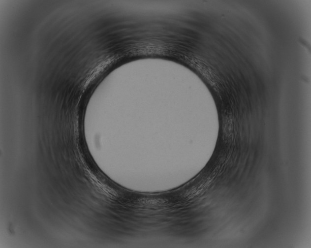 X0000097500629200803201553