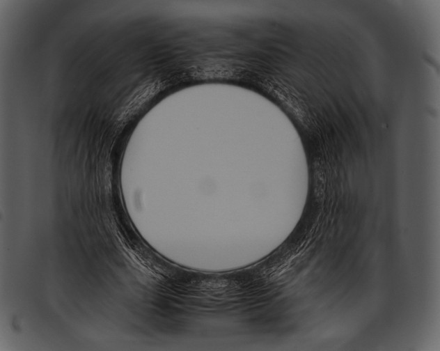 X0000097500631200803201553