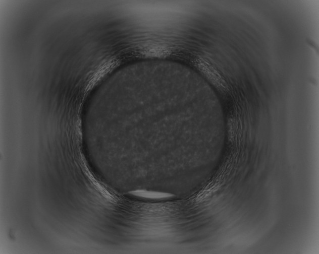 X0000097500634200803201553