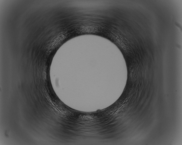 X0000097500635200803201553