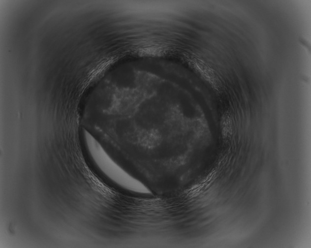 X0000097500637200803201553