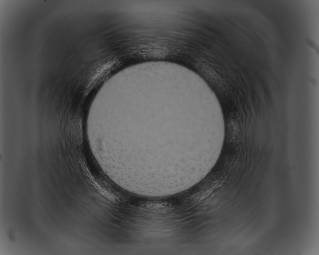X0000097500638200803201553