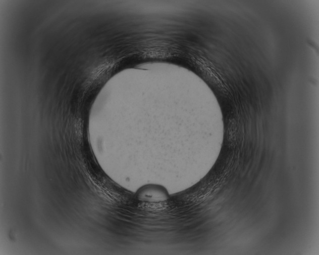 X0000097500639200803201553