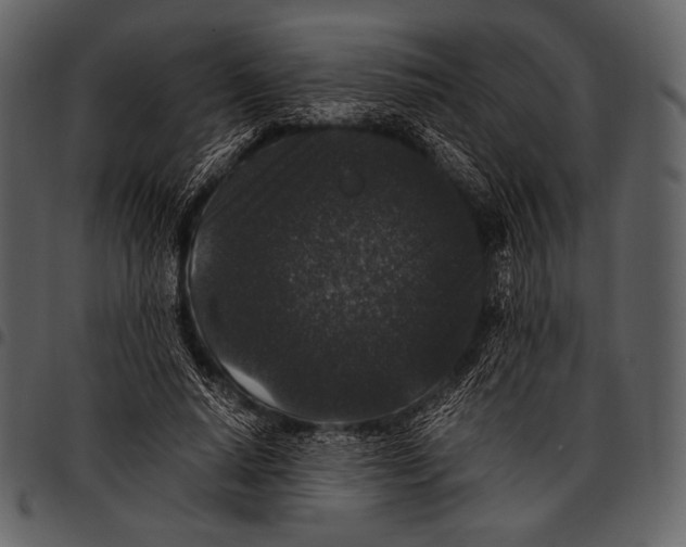 X0000097500640200803201553