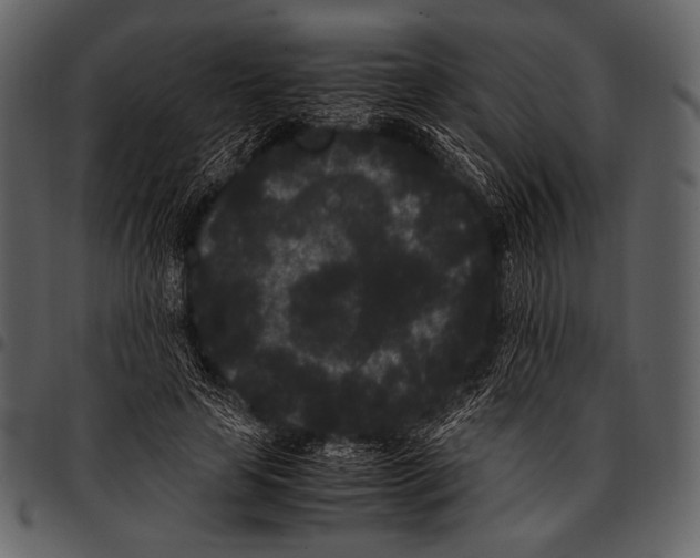X0000097500641200803201553