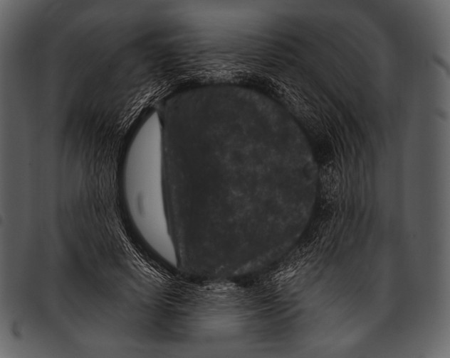 X0000097500642200803201553
