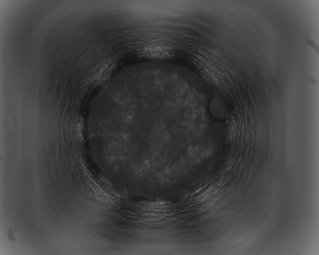 X0000097500643200803201553