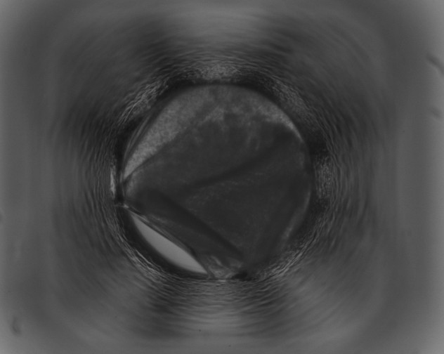 X0000097500644200803201553