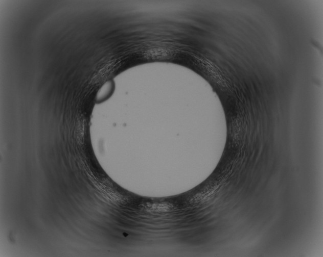 X0000097500645200803201553