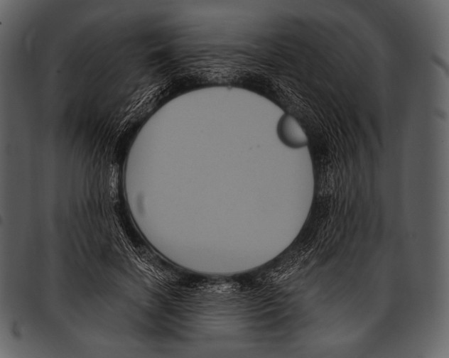 X0000097500646200803201553