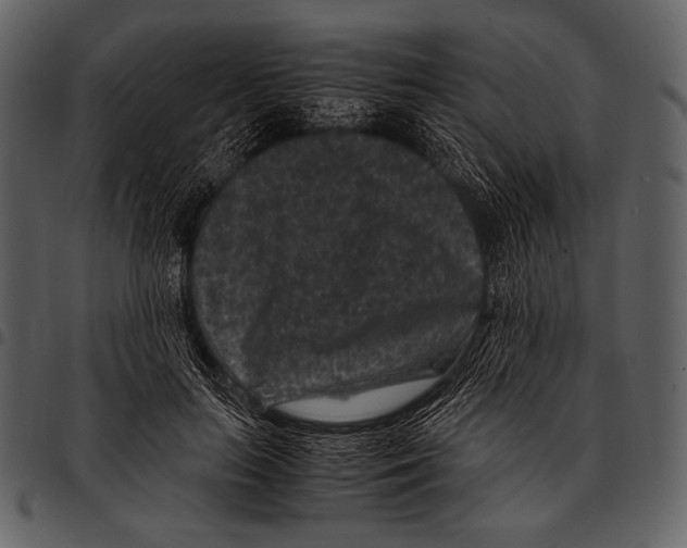 X0000097500647200803201553