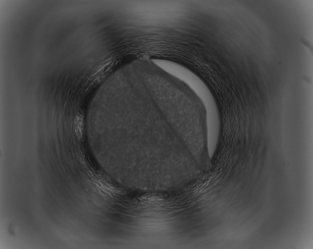 X0000097500648200803201553