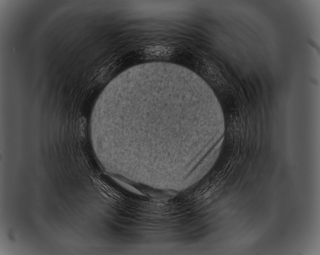 X0000097500649200803201553