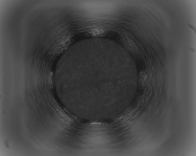 X0000097500650200803201553