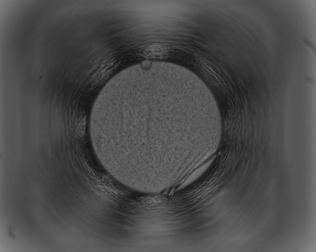 X0000097500652200803201553