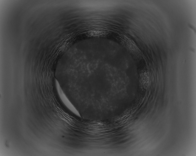 X0000097500653200803201553