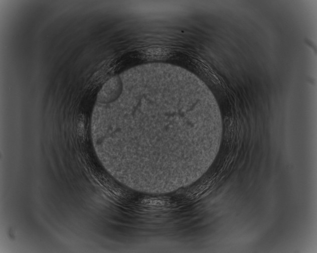 X0000097500655200803201553
