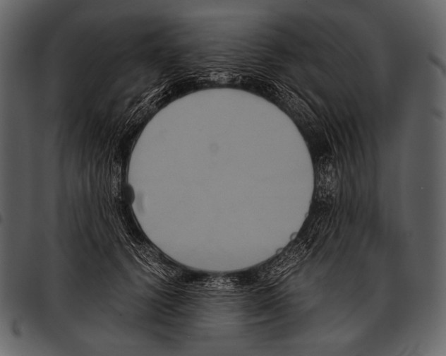 X0000097500656200803201553
