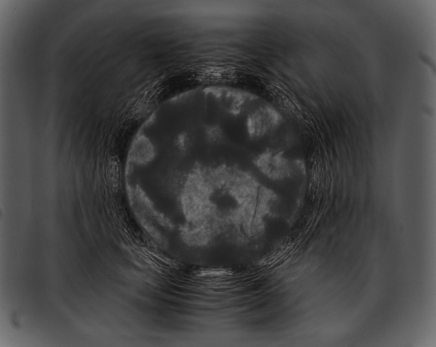 X0000097500659200803201553