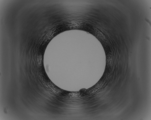 X0000097500660200803201553