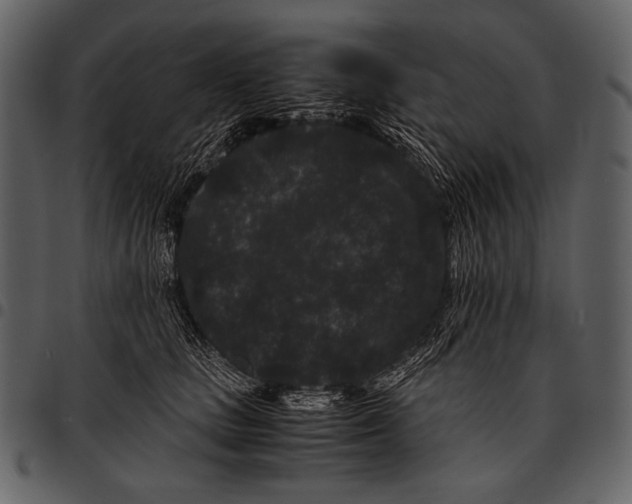 X0000097500661200803201553