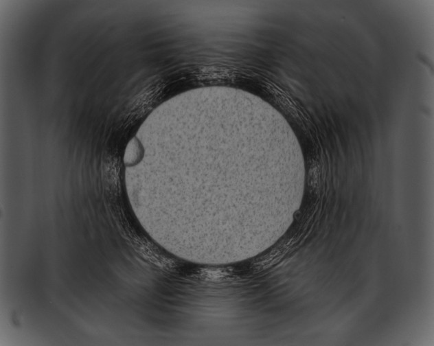 X0000097500662200803201553