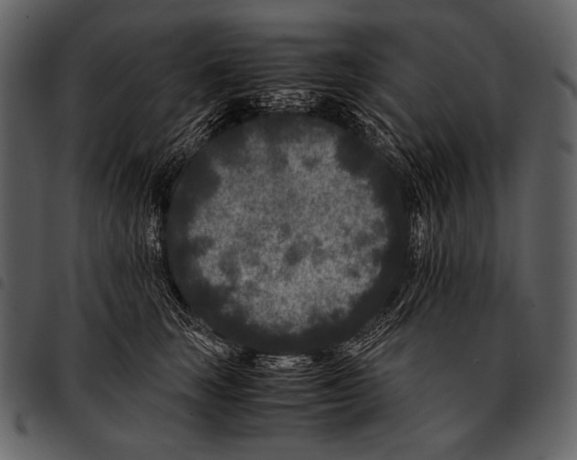 X0000097500663200803201553