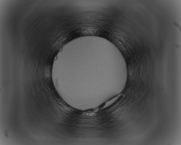 X0000097500665200803201554