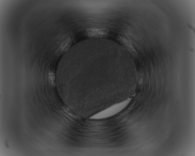 X0000097500669200803201554