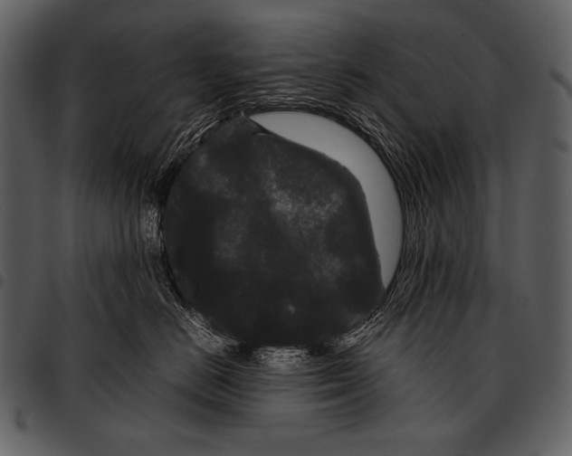 X0000097500670200803201554
