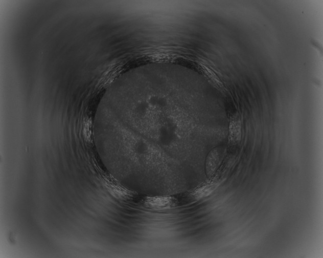X0000097500671200803201554