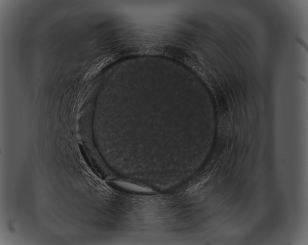 X0000097500673200803201553