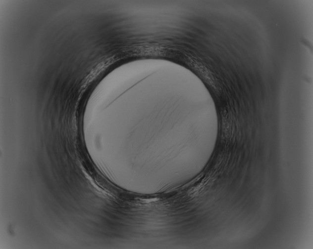 X0000097500674200803201553